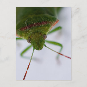 Postkarte für das Auge