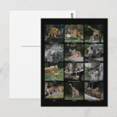 Postkarte für das Baby (Vorne/Hinten)
