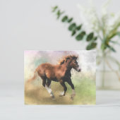 Postkarte für das Cantering Fohlen (Stehend Vorderseite)
