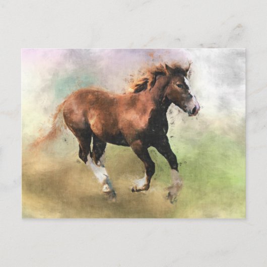 Postkarte für das Cantering Fohlen (Vorderseite)