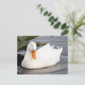 Postkarte für das Foto der weißen Ente (Stehend Vorderseite)