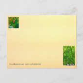 Postkarte für das Gebetsfest/Kundenkarte (Rückseite)