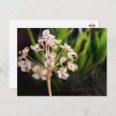 Postkarte für das Naturgut (Vorne/Hinten)