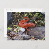 Postkarte für das östliche Foto (Vorne/Hinten)