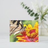 Postkarte für das östliche Tiger-Frack (Stehend Vorderseite)