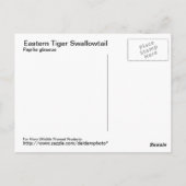 Postkarte für das östliche Tiger-Frack (Rückseite)