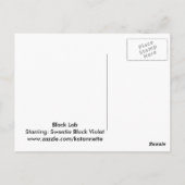 Postkarte für das schwarze Labor (Rückseite)