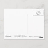 Postkarte für das Schwarze und Weiße Pferd (Rückseite)