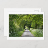 Postkarte für das Sommerland (Vorne/Hinten)