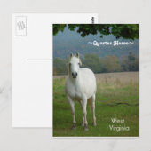Postkarte für das Weiße Quartal (Vorne/Hinten)