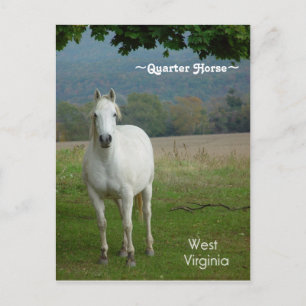 Postkarte für das Weiße Quartal