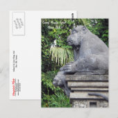 Postkarte für den Affenwald (Vorne/Hinten)