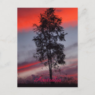 Postkarte für den australischen Sonnenuntergang