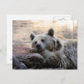 Postkarte für den Daydreaming-Bär (Vorne/Hinten)