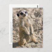 Postkarte für den Einstieg in die Ausbildung (Vorne/Hinten)