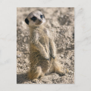 Postkarte für den Einstieg in die Ausbildung