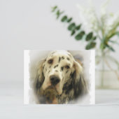 Postkarte für den Englischen Setter (Stehend Vorderseite)