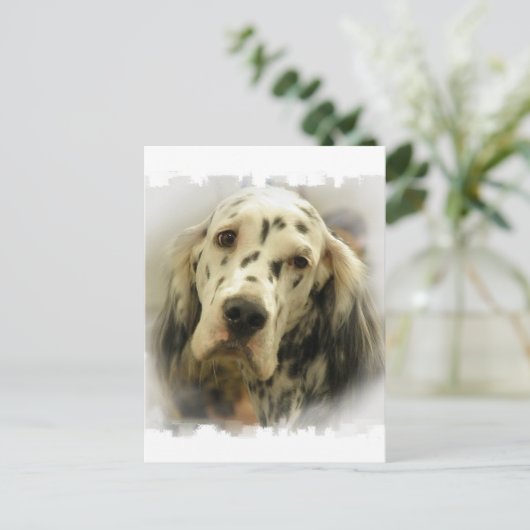 Postkarte für den Englischen Setter (Stehend Vorderseite)