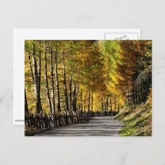 Postkarte für den Herbst (Vorne/Hinten)