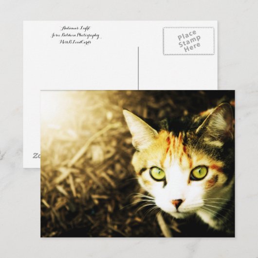 Postkarte für den Herbst (Vorne/Hinten)