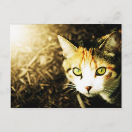 Postkarte für den Herbst