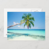 Postkarte für den karibischen Strand (Vorne/Hinten)