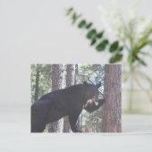 Postkarte für den schwarzen Bär (Stehend Vorderseite)