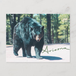 Postkarte für den schwarzen Bär