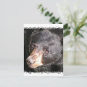 Postkarte für den schwarzen Bär (Stehend Vorderseite)