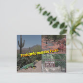 Postkarte für den Senat (Stehend Vorderseite)