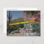 Postkarte für den Senat (Vorne/Hinten)