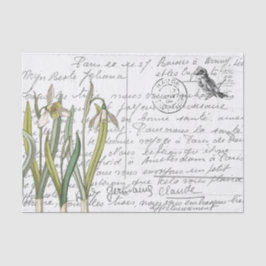 Postkarte für den Vintagen Snowdrop-Bird Seidenpapier