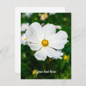 Postkarte für den weißen Kosmos (Vorne/Hinten)