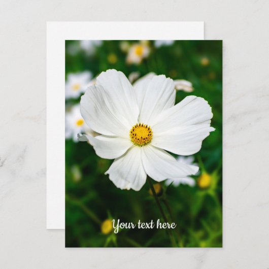 Postkarte für den weißen Kosmos (Vorne/Hinten)