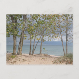 Postkarte für die Beach-Bäume