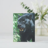 Postkarte für die Black Panther Cat (Stehend Vorderseite)
