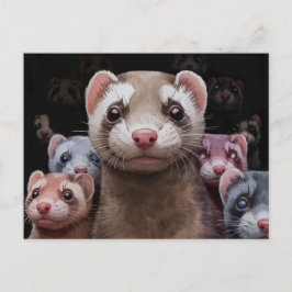 Postkarte für die Familie Ferret