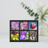 Postkarte für die Frühlings-Blume (Stehend Vorderseite)