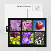 Postkarte für die Frühlings-Blume (Vorne/Hinten)
