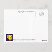 Postkarte für die Frühlings-Blume (Rückseite)