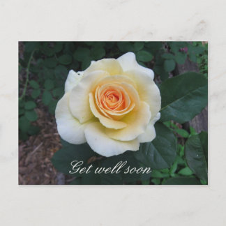 Postkarte für die gelbe Rose