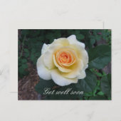 Postkarte für die gelbe Rose (Vorne/Hinten)