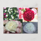 Postkarte für die Hochzeit Florist Visitenkarte (Rückseite)