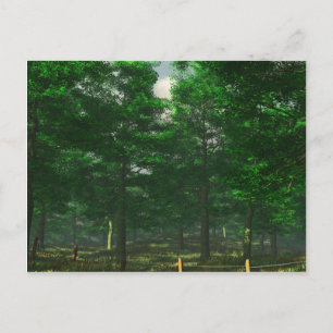 Postkarte für die Klarheit der Natur