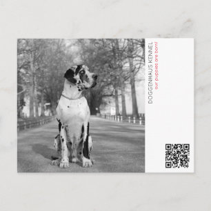 Postkarte für die Puppenankündigung