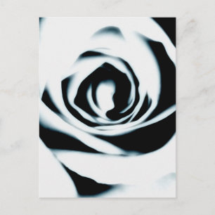 Postkarte für die Rose