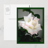 Postkarte für die Rose (Vorne/Hinten)