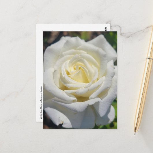 Postkarte für die Rose (Vorderseite/Rückseite Beispiel)
