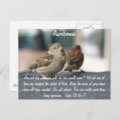 Postkarte für die Sicherheit - Zitat für Spargel (Vorne/Hinten)