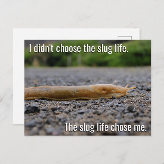 Postkarte für die Slug Lebensdauer (Vorne/Hinten)